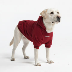 Essential Dog Hoodie - Burgundy