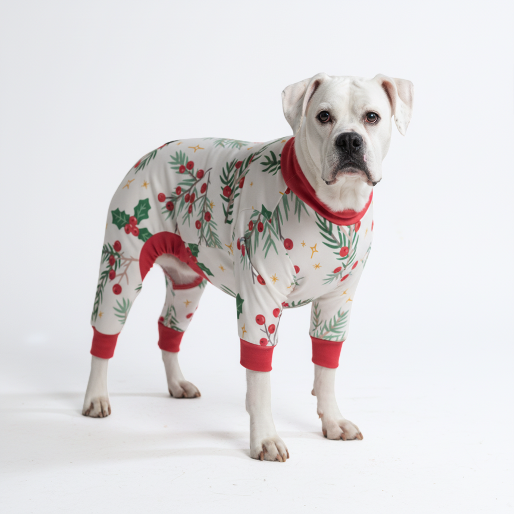 Dog Christmas Pajamas