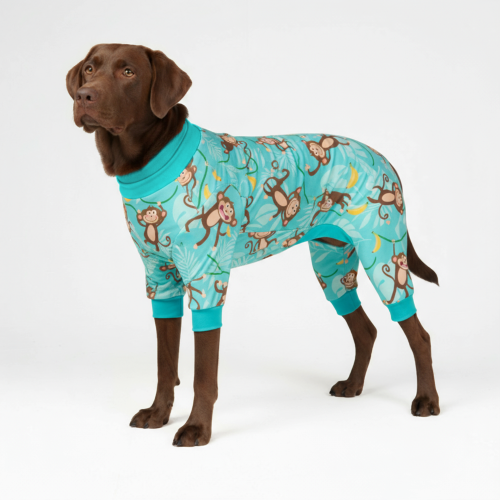 Dog Pajama Prints
