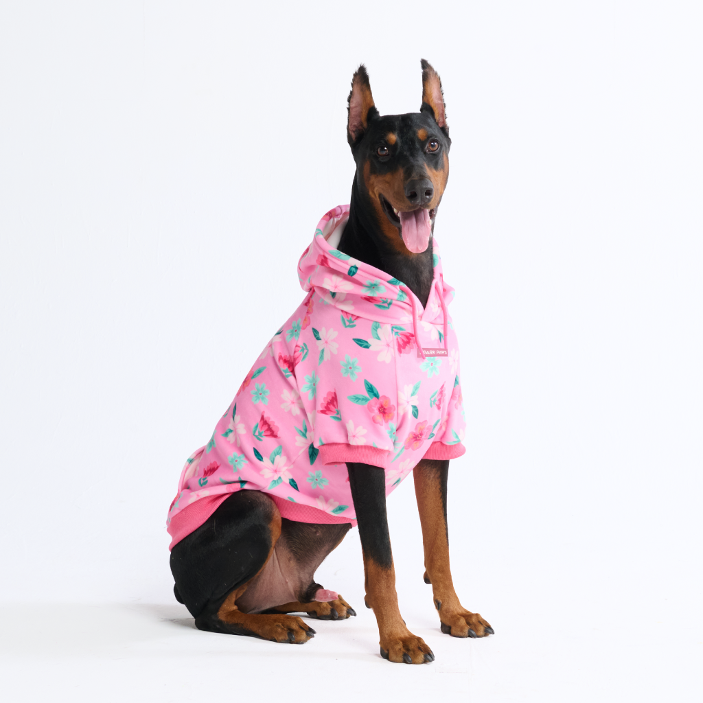 Blossom Dog Hoodie - Pink