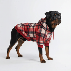 Red Plaid Dog Hoodie