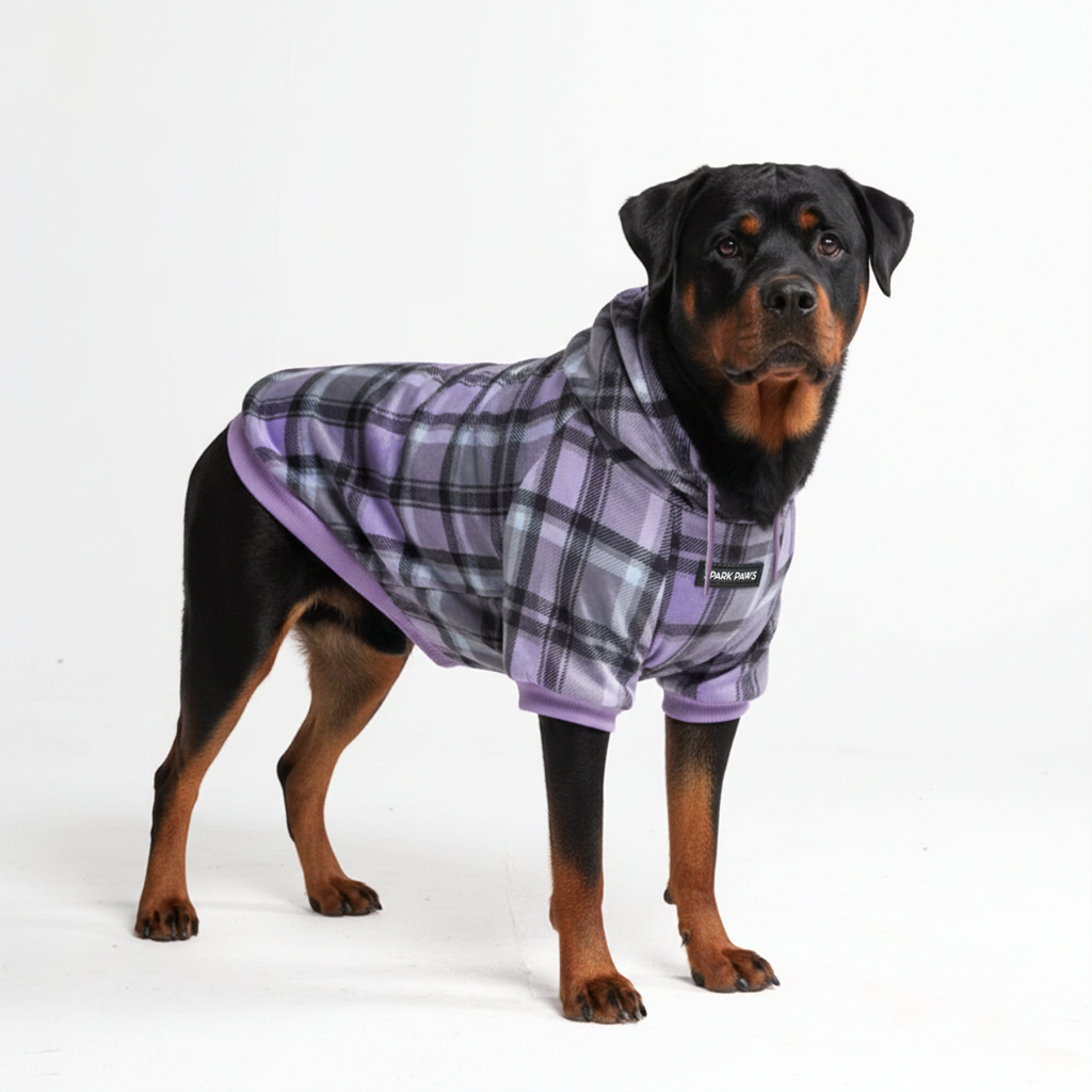 Plaid Dog Hoodies