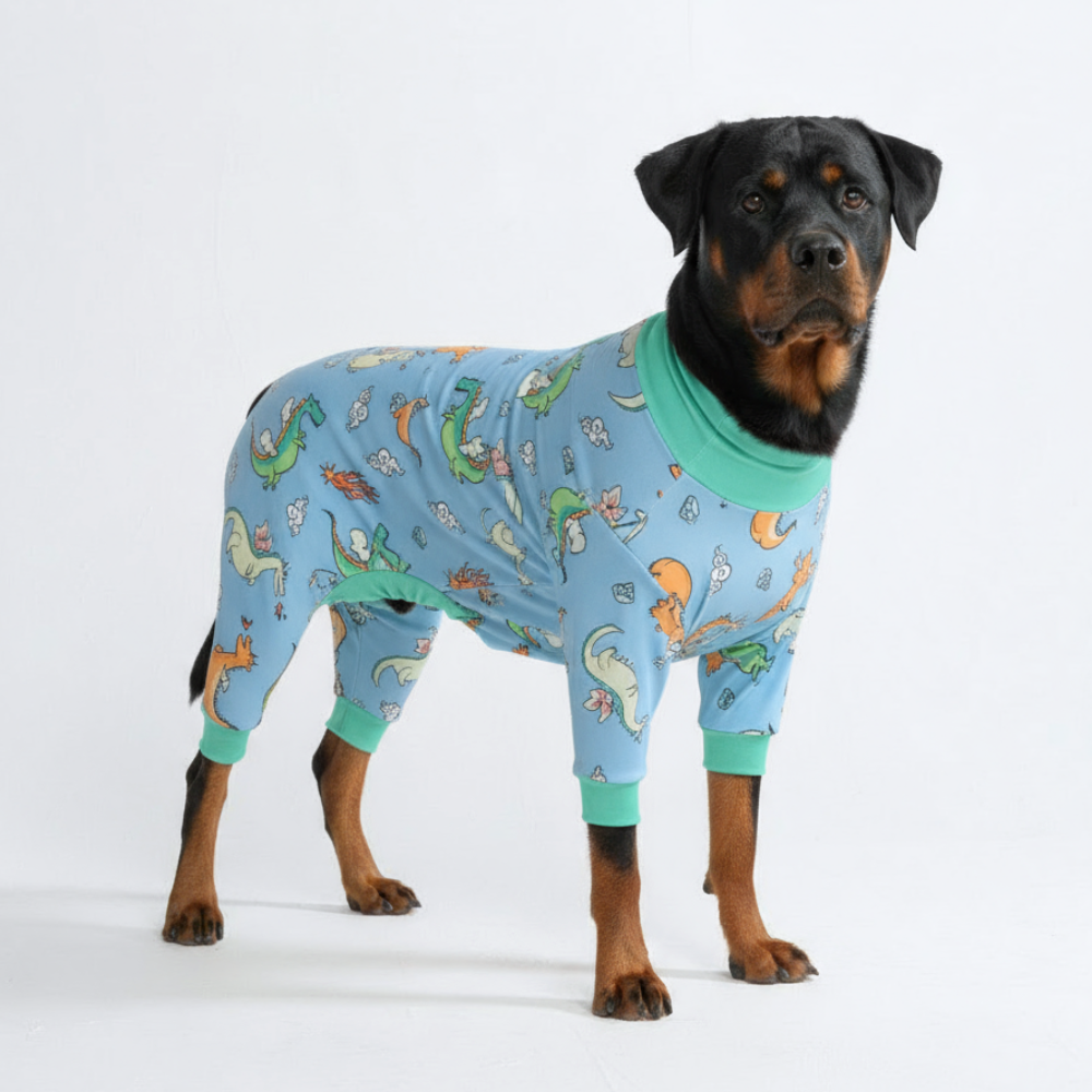 Dog Pajama Prints