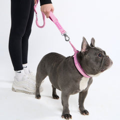 Martingale Collar - Pink