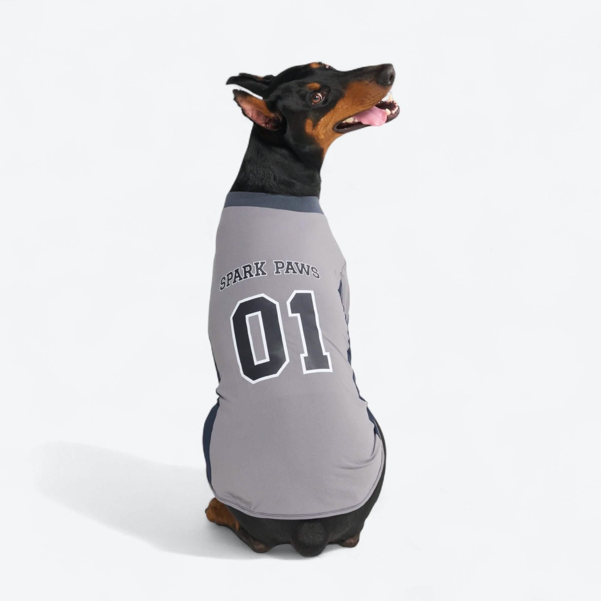 Football Mesh Jersey - Grey