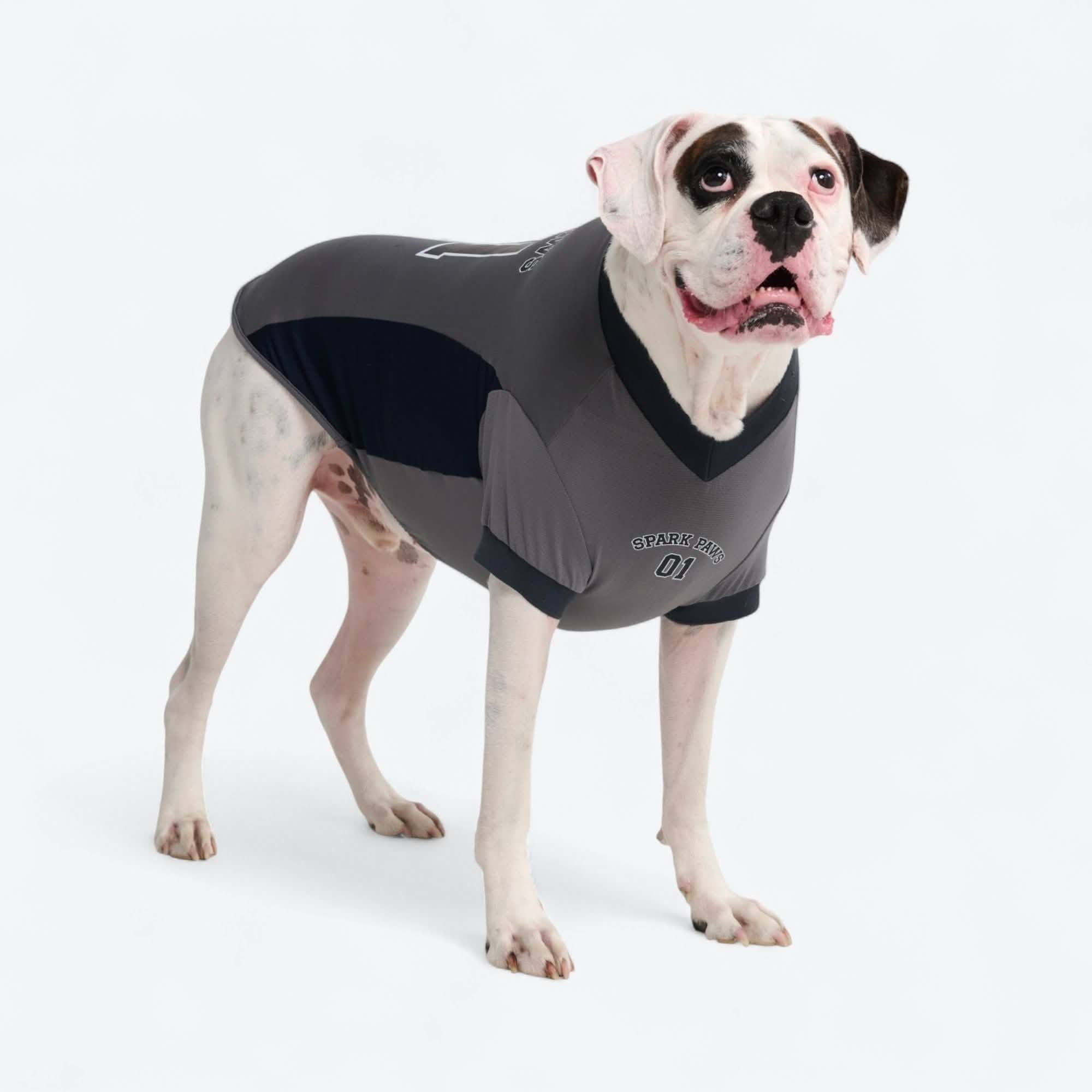 Football Mesh Jersey - Grey