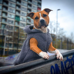 Teddy Sherpa Jacket - Grey