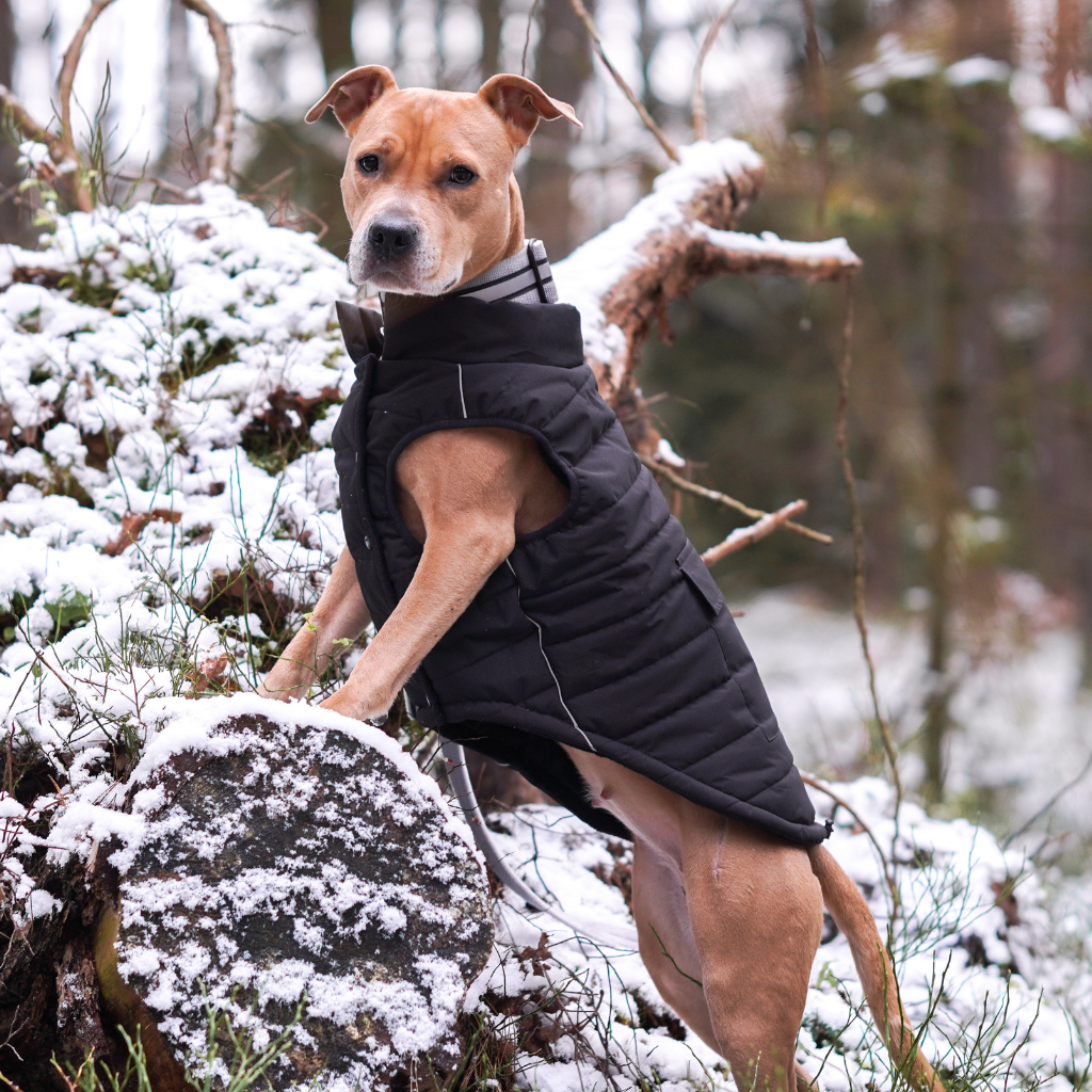 WarmShield Water-Resistant Jacket - Black