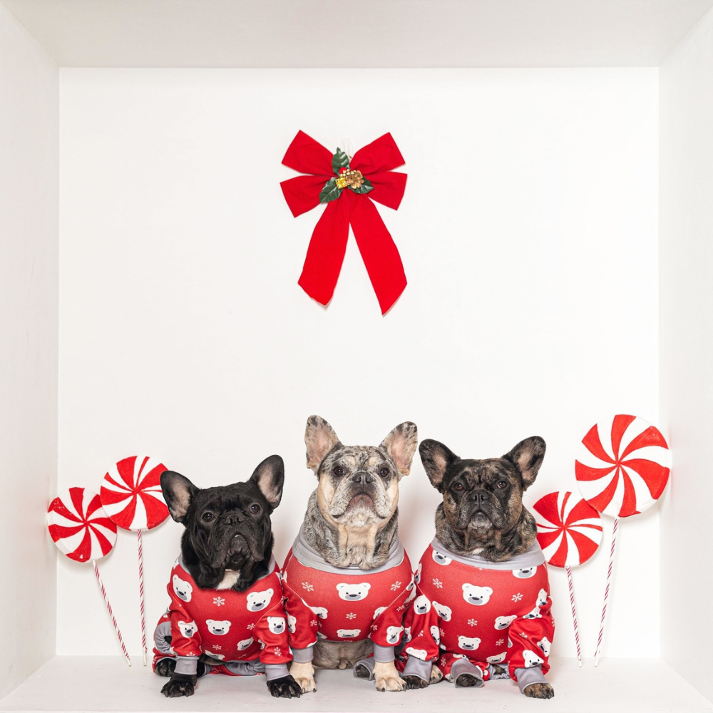 Dog Christmas Pajamas