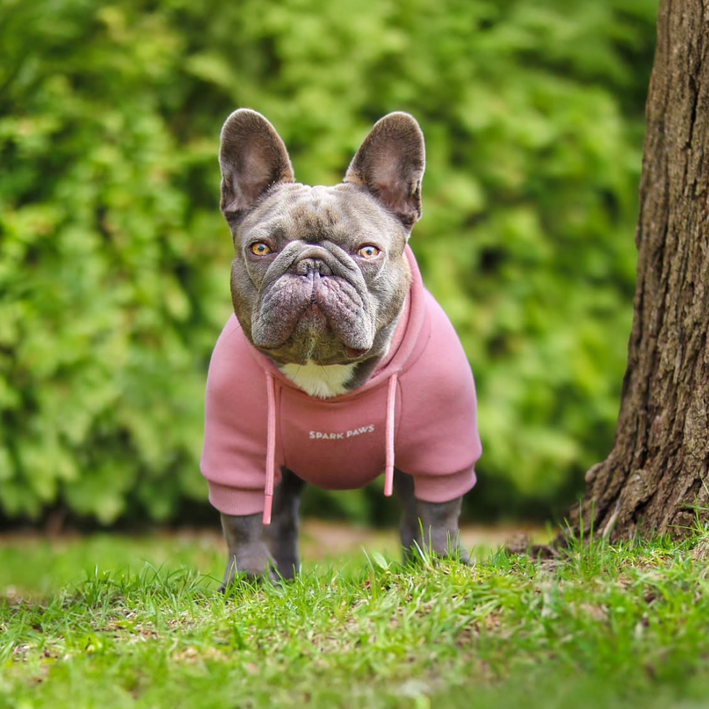 Essential Dog Hoodie - Dusty Pink