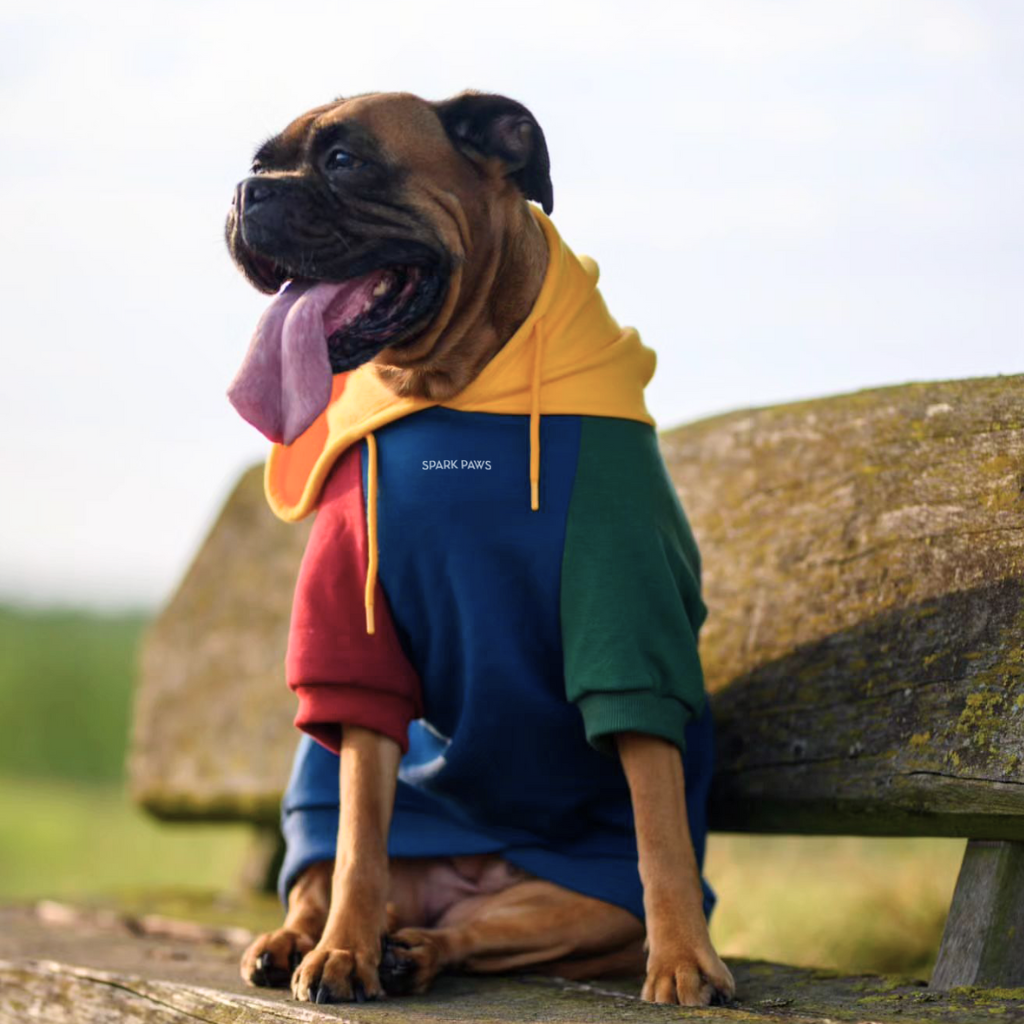 Primary Color Block Dog Hoodie