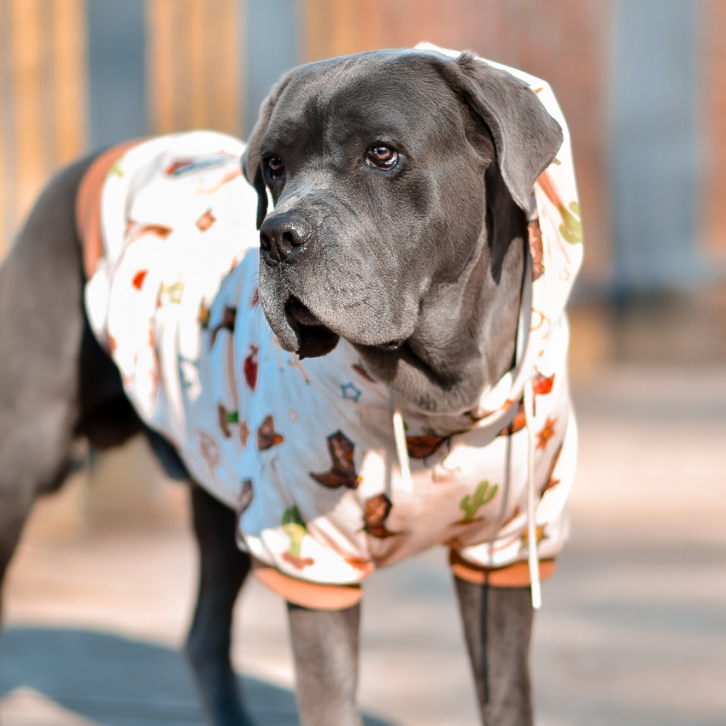 Rodeo Dog Hoodie