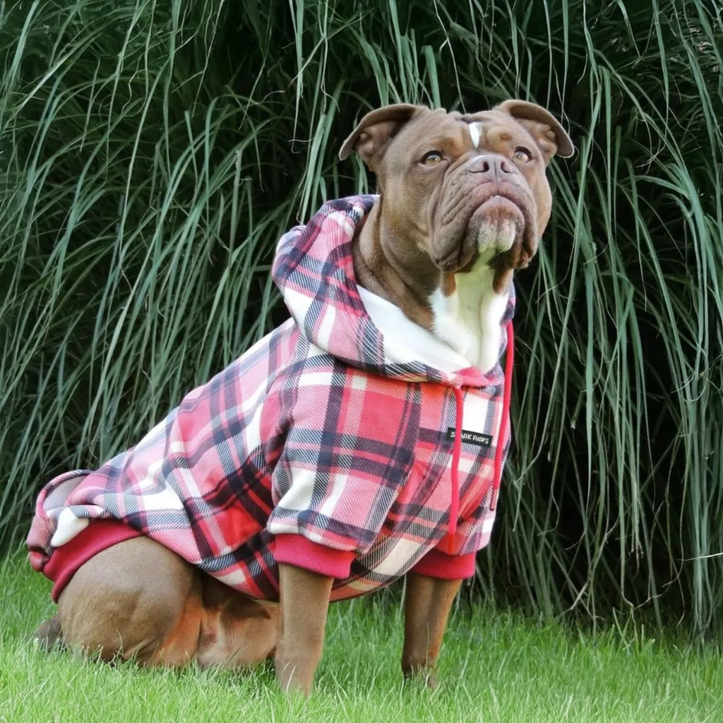 Red Plaid Dog Hoodie