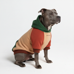 Ranger Dog Hoodie