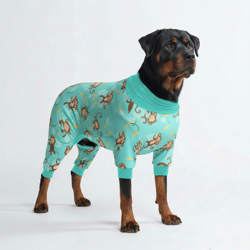 Dog Pajama Prints
