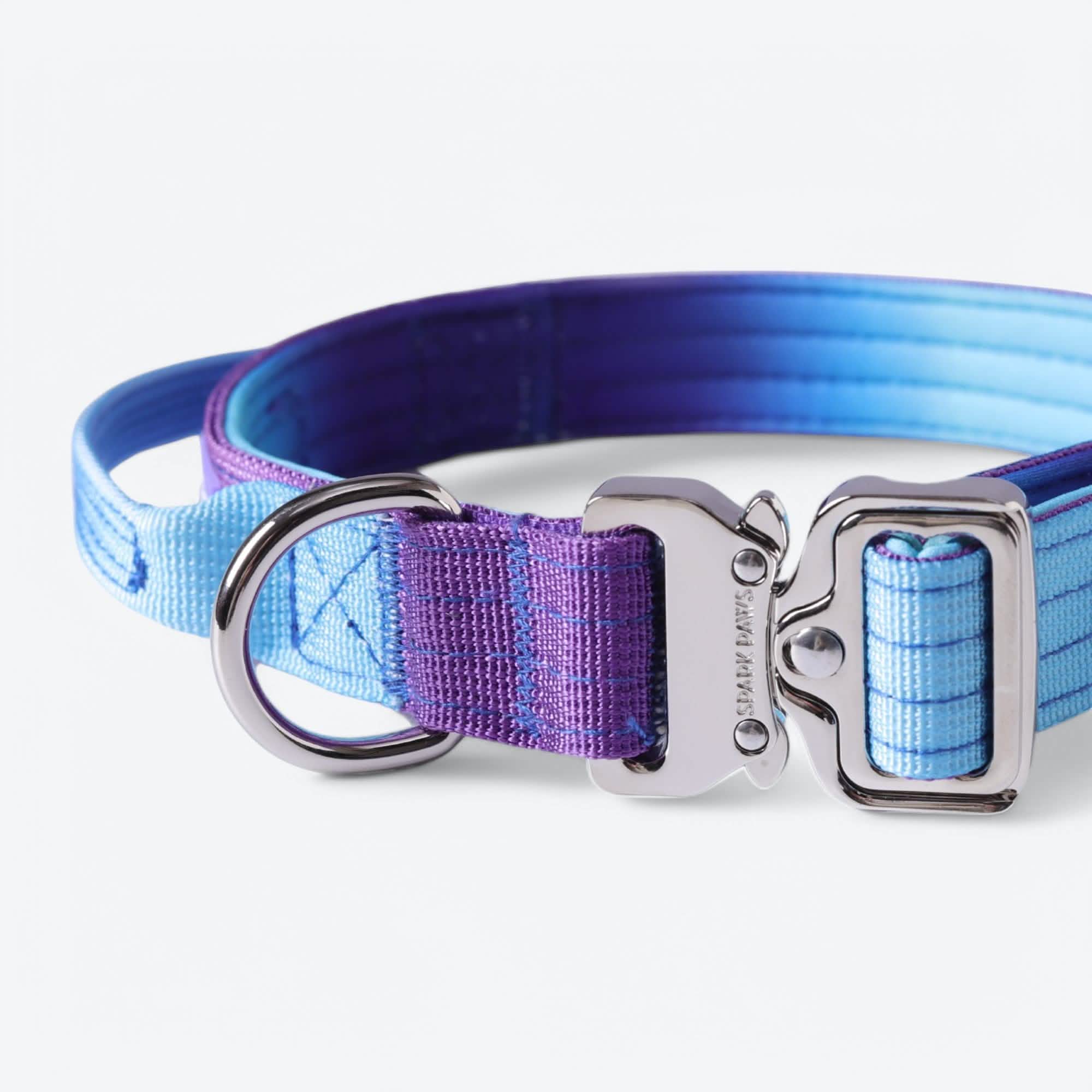 Comfort Control Dog Collar Sets