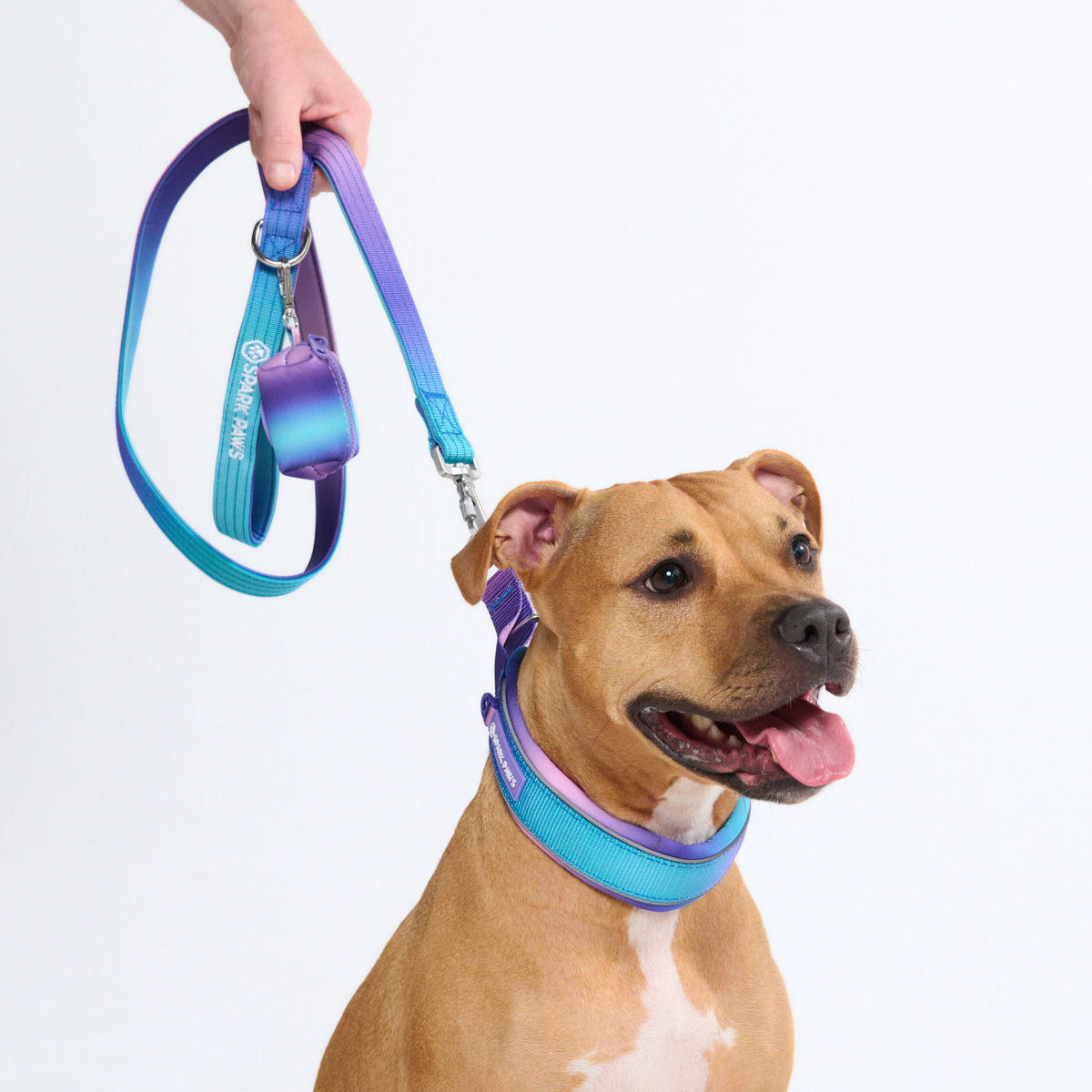 Martingale Dog Collars