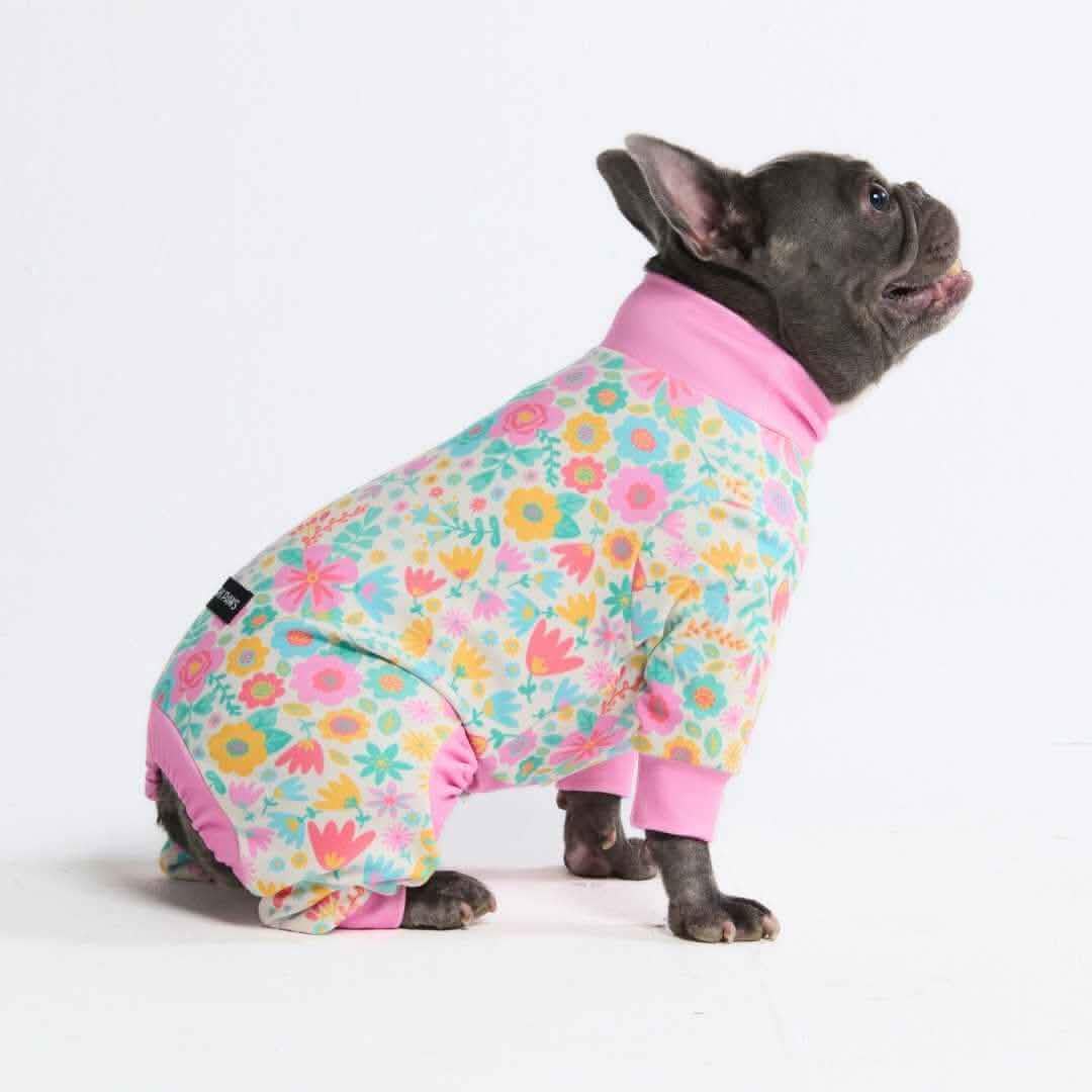 Dog Pajama Prints