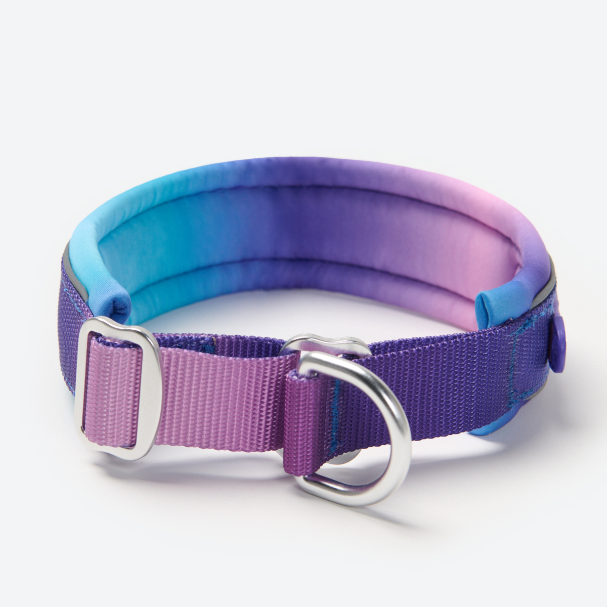 Martingale Dog Collars