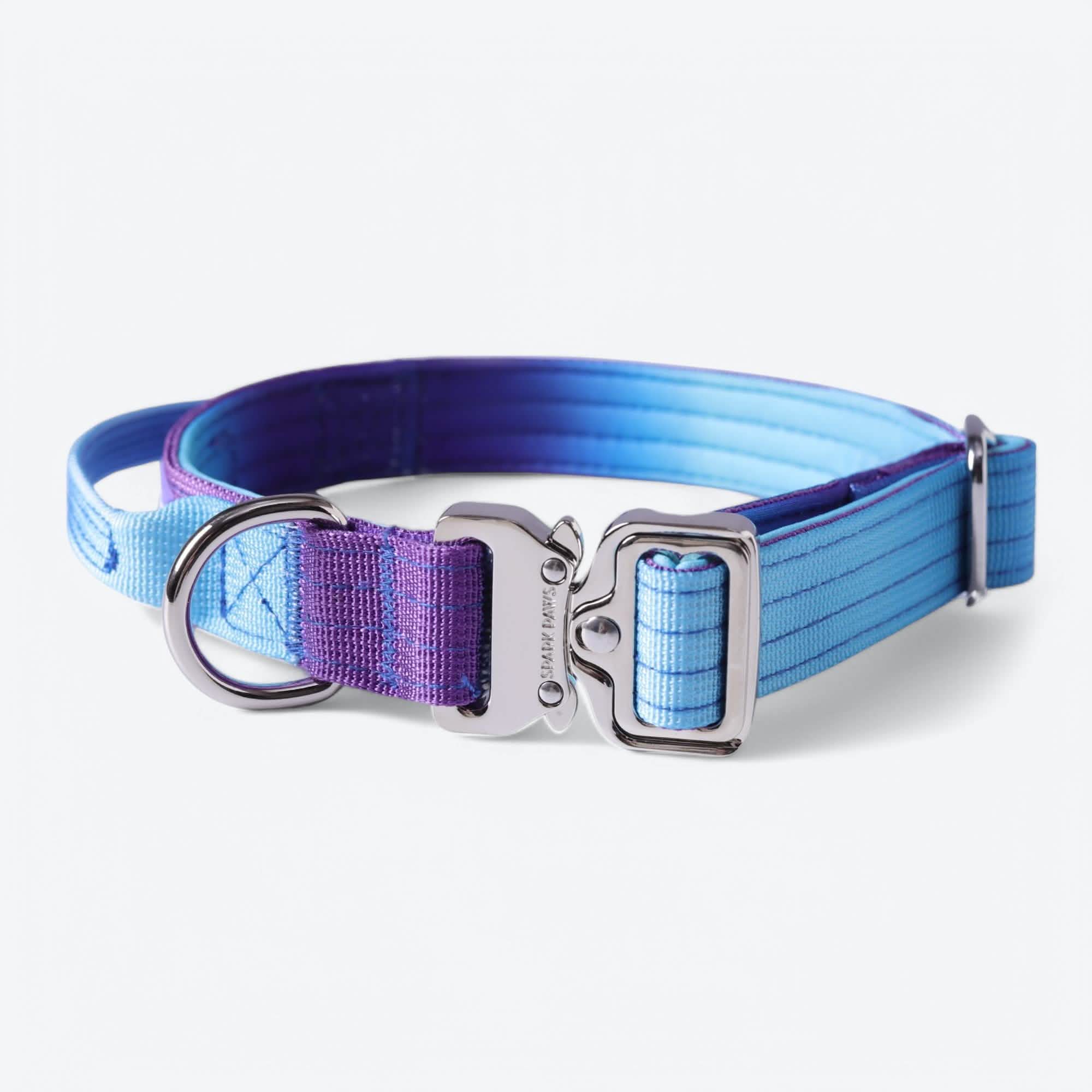 Comfort Control Dog Collar Sets