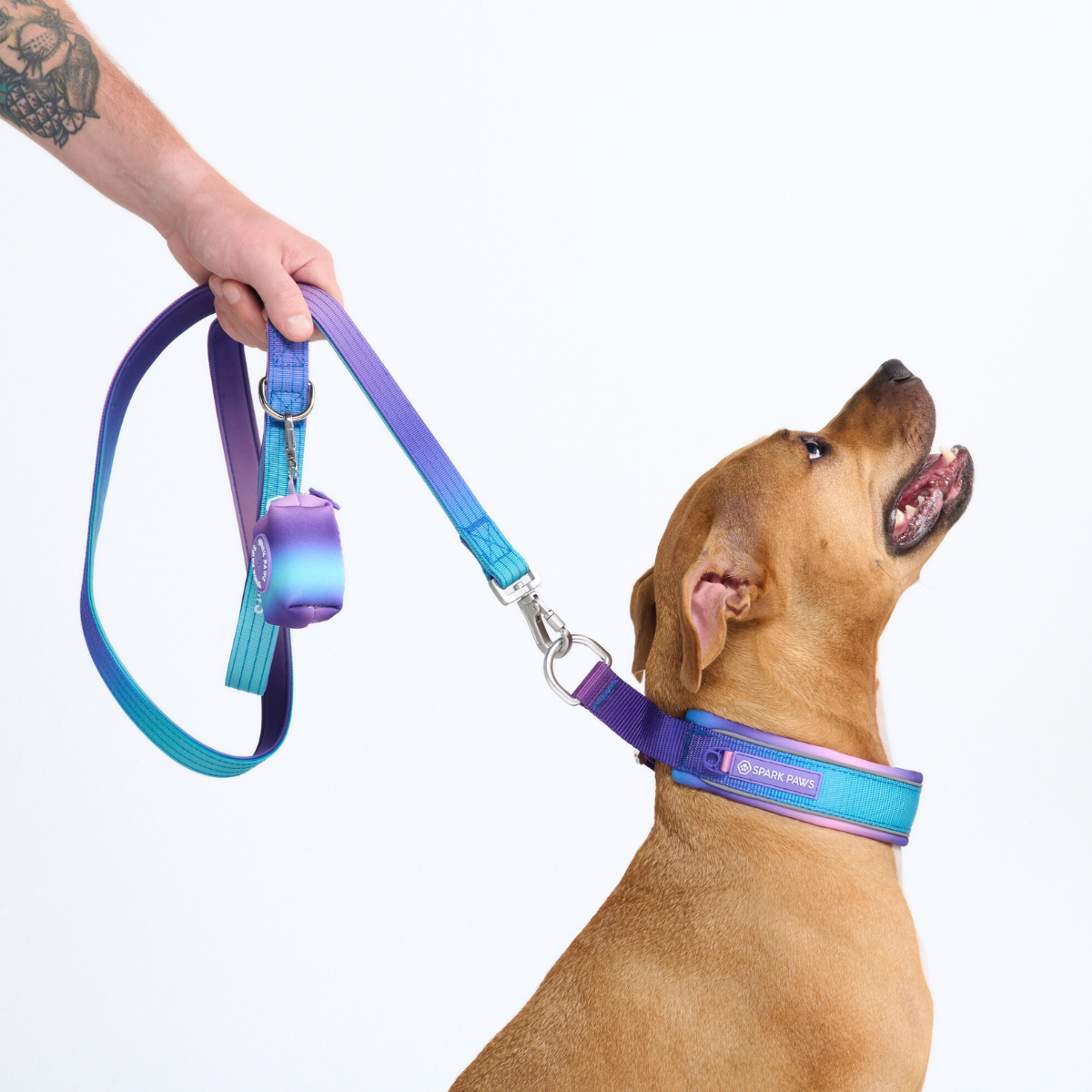 Martingale Collar - 90s Retro