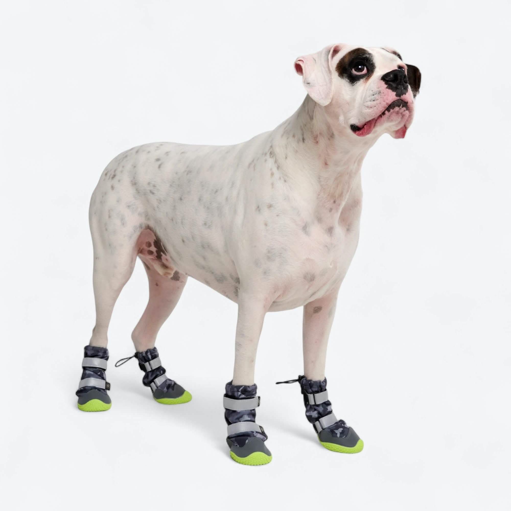 Flex Shell Waterproof Dog Boots