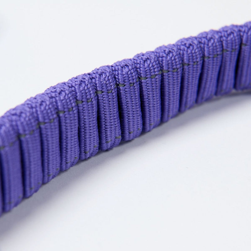 Multipurpose Seatbelt Handsfree Leash & Poop Bag Holder Set