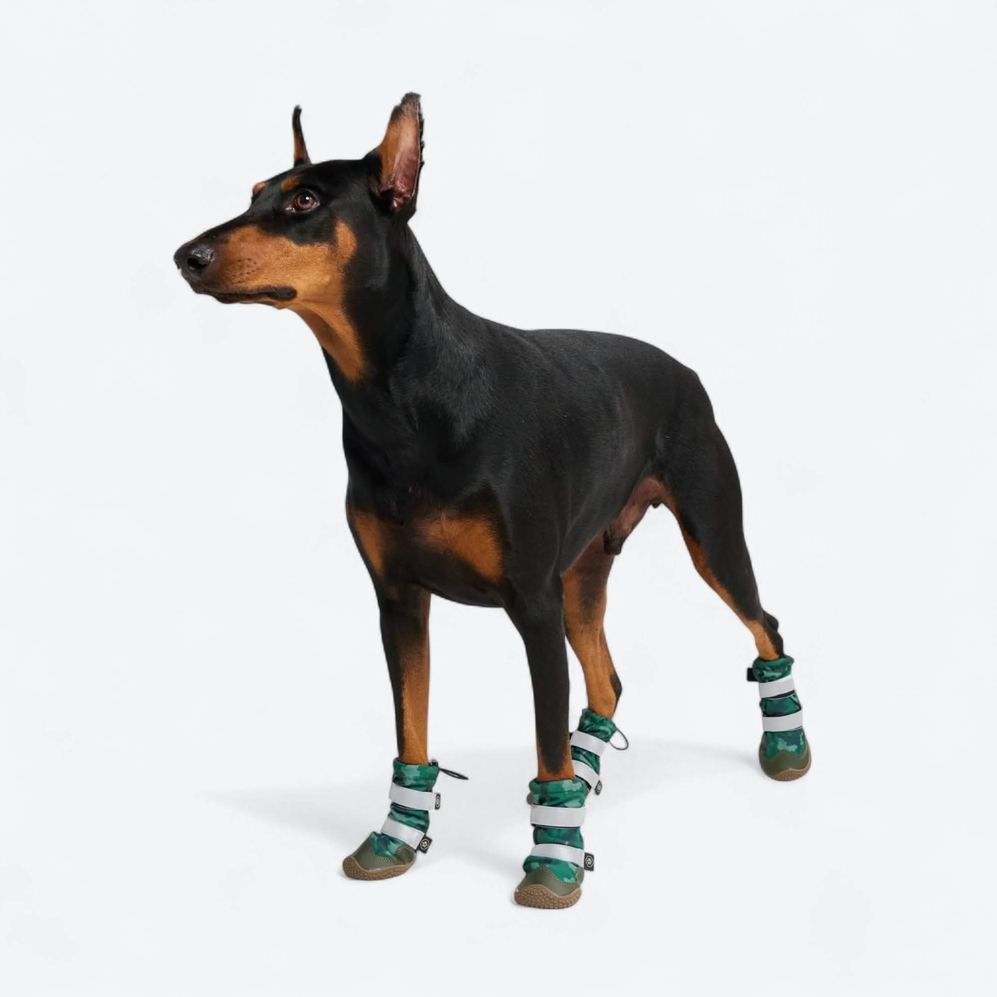 Flex Shell Waterproof Dog Boots