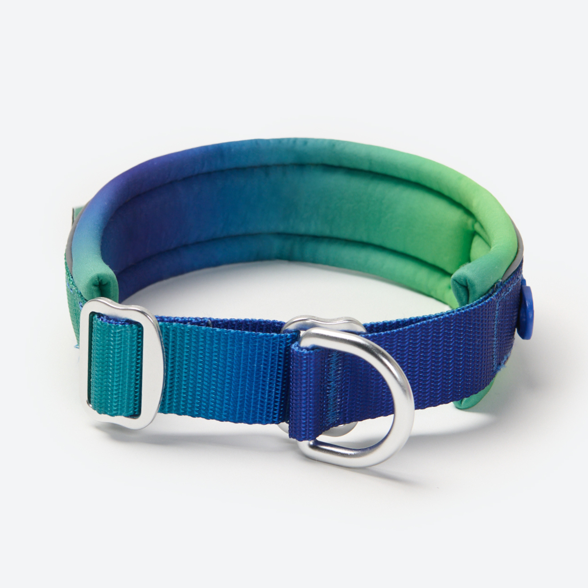 Martingale Collar - Lime Wave