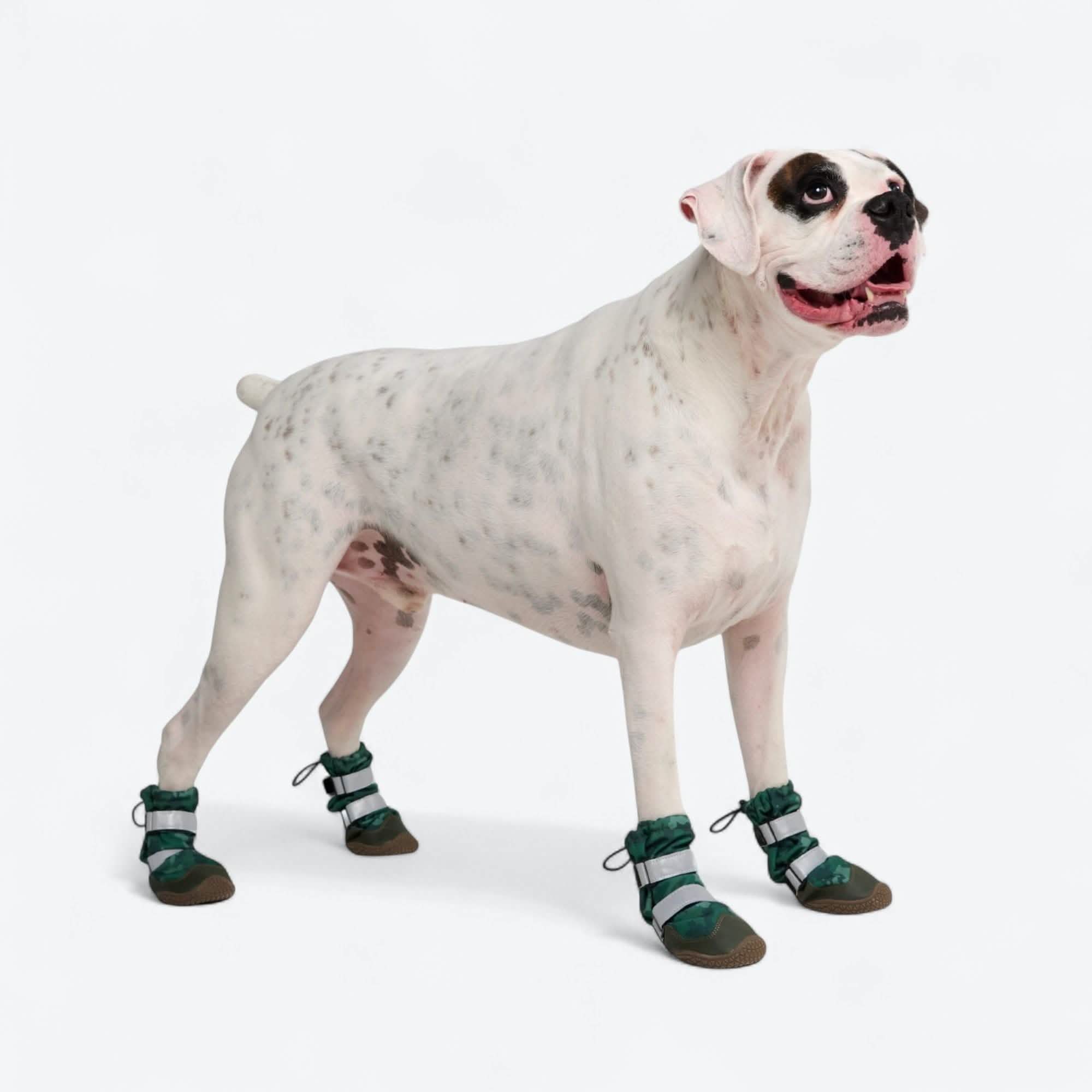 Flex Shell Waterproof Dog Boots