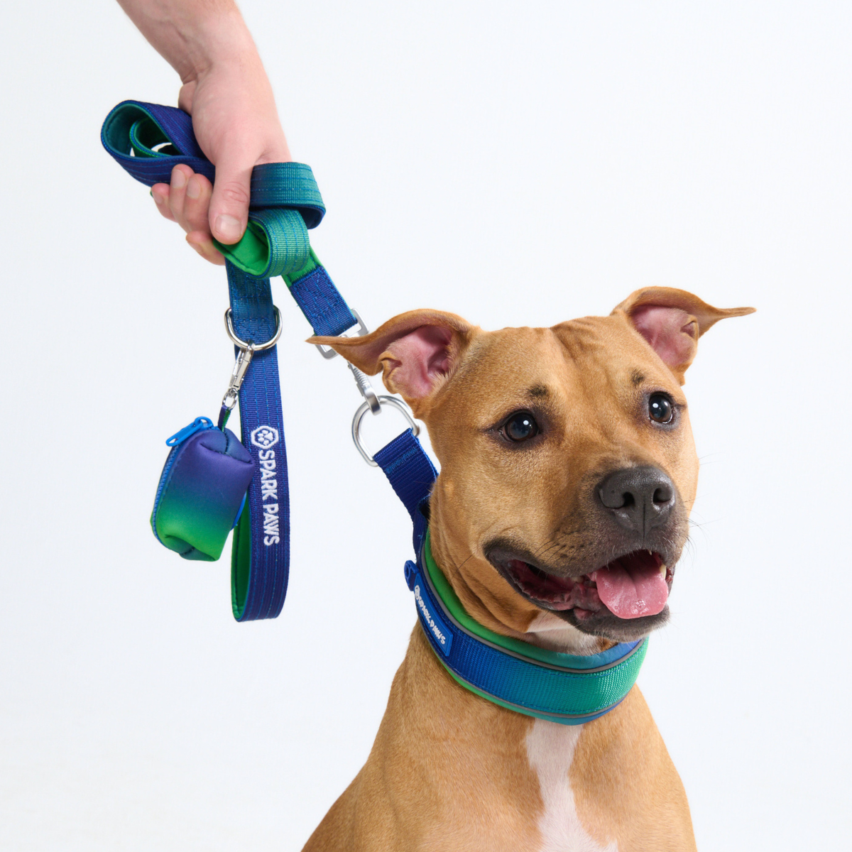 Martingale Collar - Lime Wave