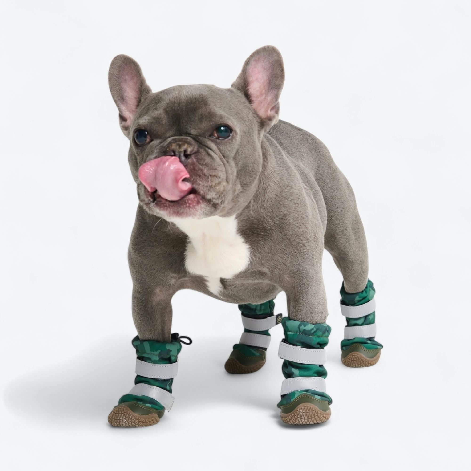 Flex Shell Waterproof Dog Boots