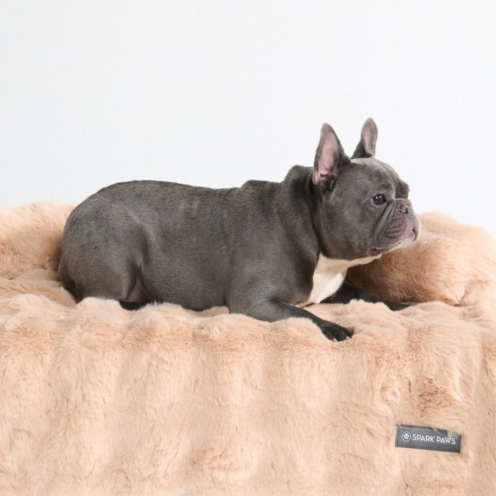 Calming Fluffy Couch Cover Dog Beds