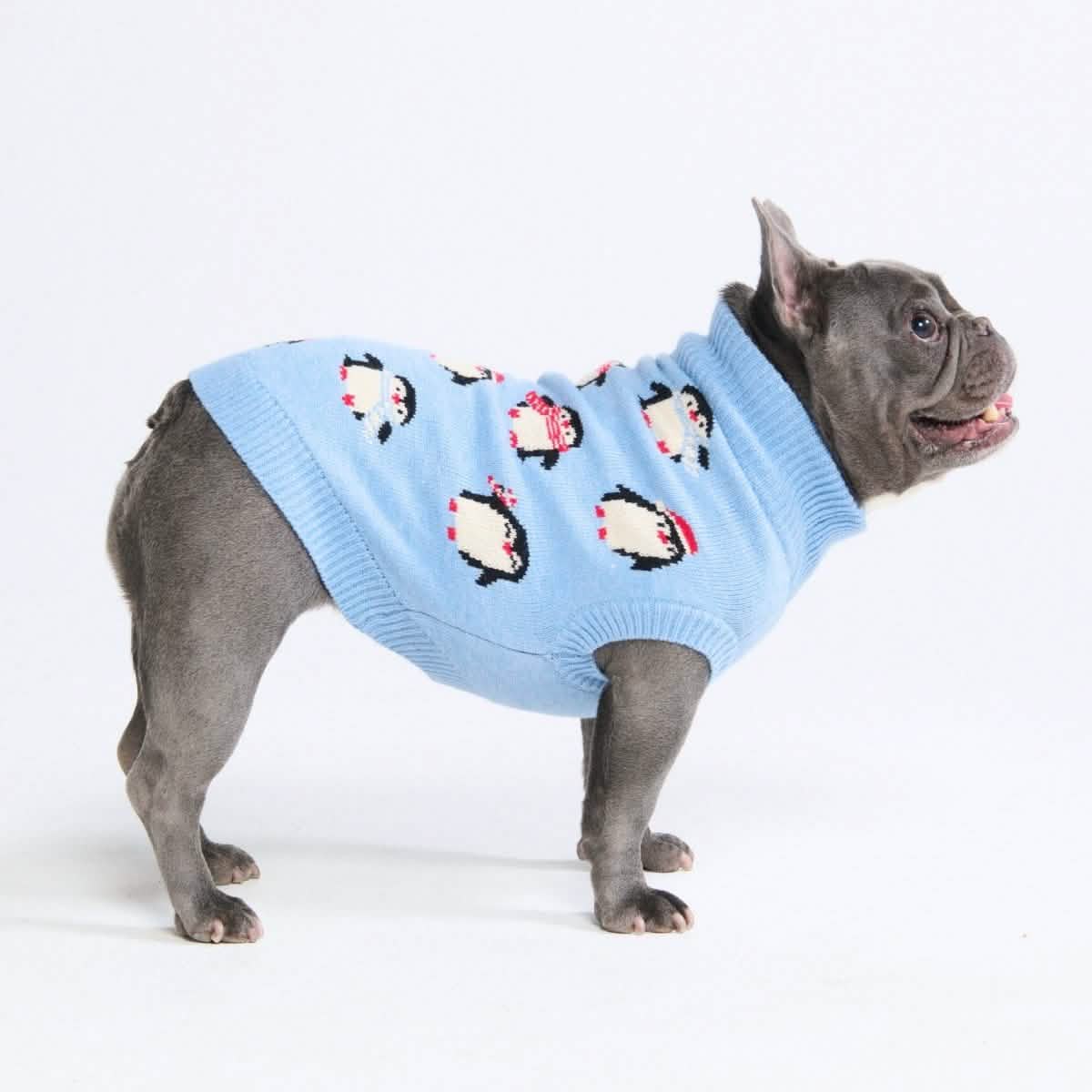 Knit Dog Sweater Prints