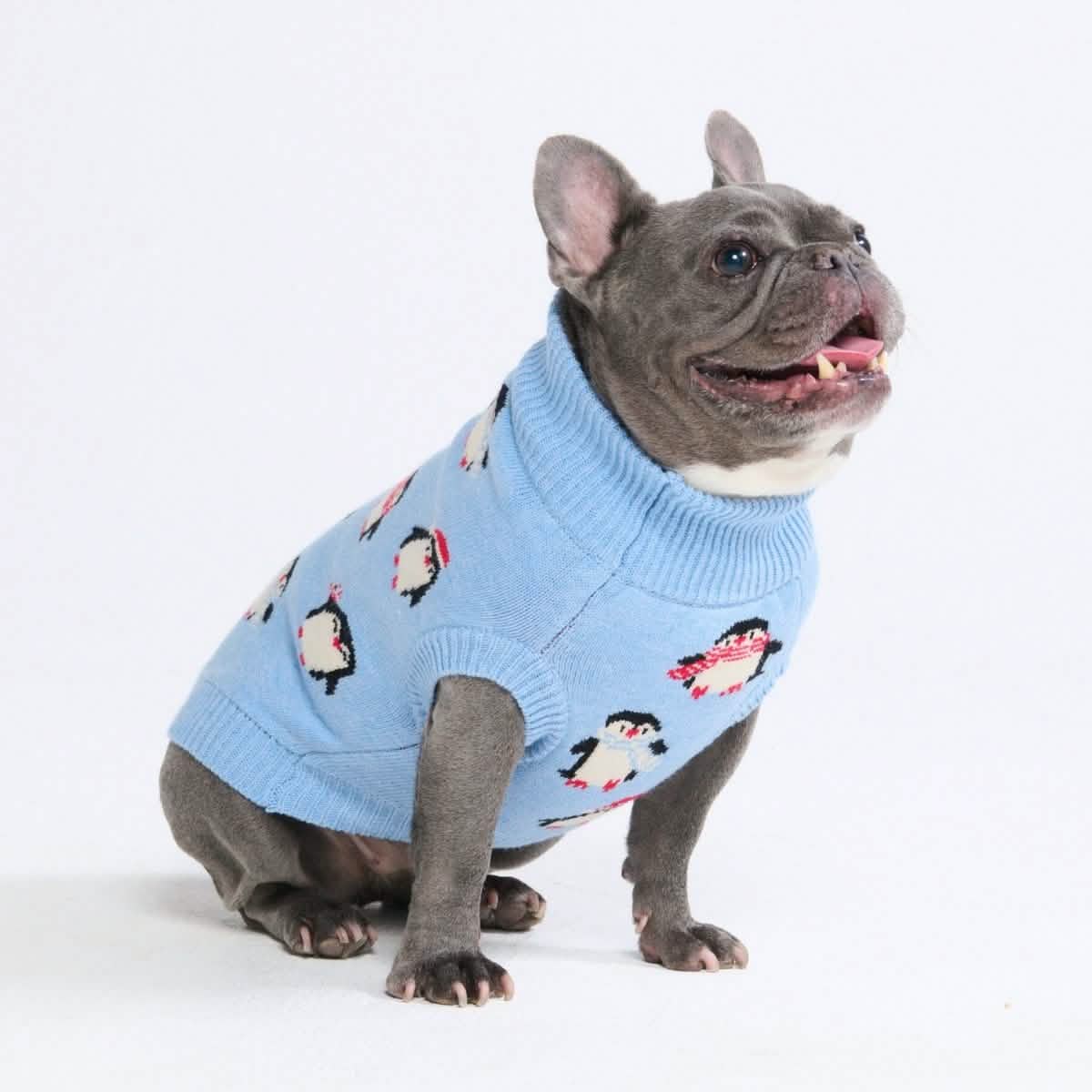 Knit Dog Sweater Prints