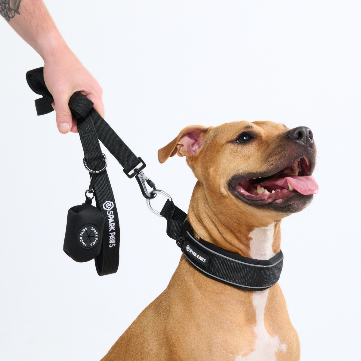 Martingale Dog Collars