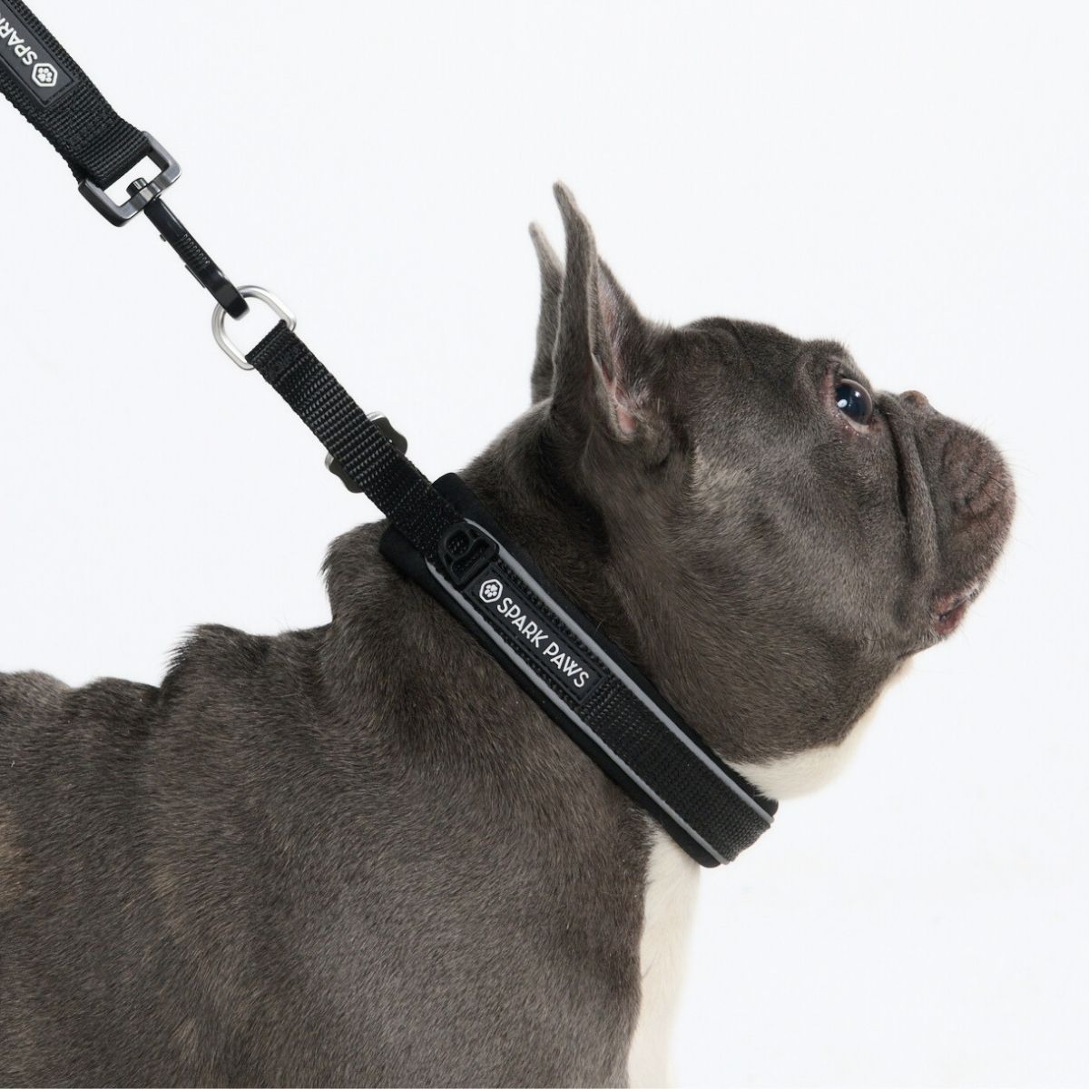 Martingale Collar - Black