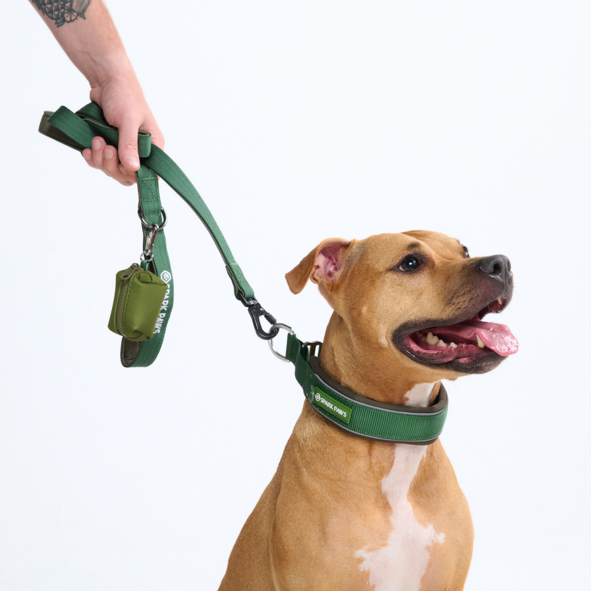 Martingale Dog Collars