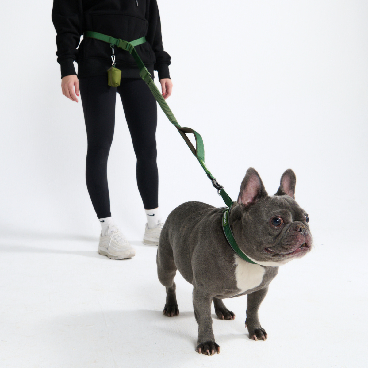 Multipurpose Seatbelt Handsfree Leash & Poop Bag Holder Set