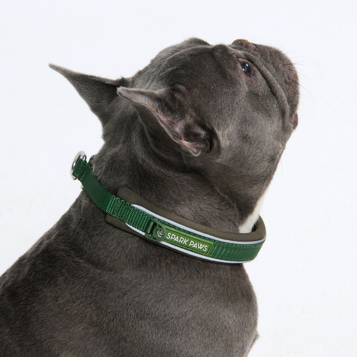 Martingale Collar - Army Green