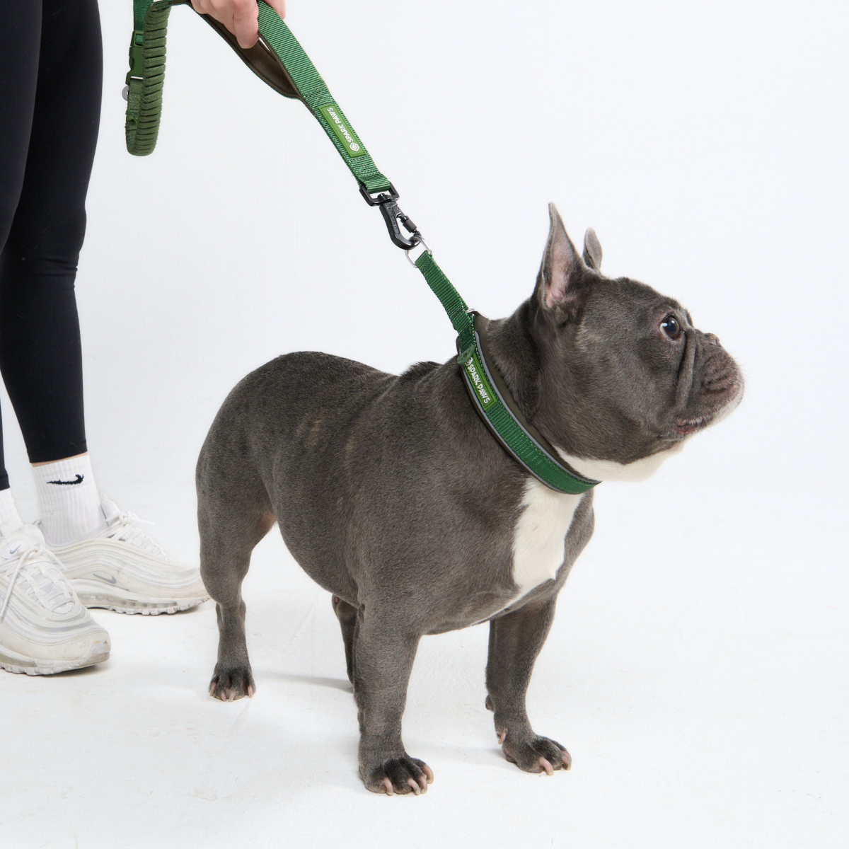 Multipurpose Seatbelt Handsfree Leash & Poop Bag Holder Set