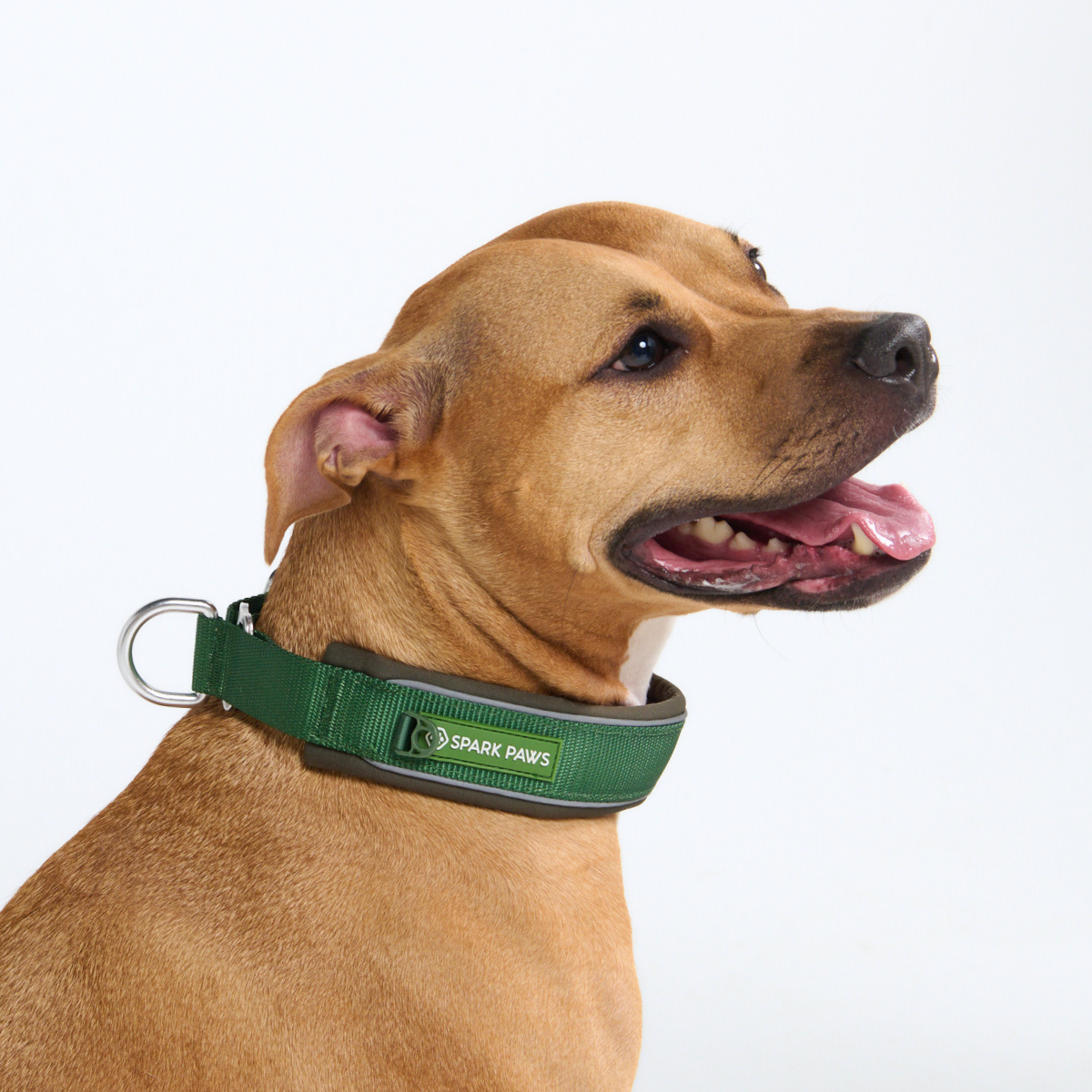 Martingale Collar - Army Green
