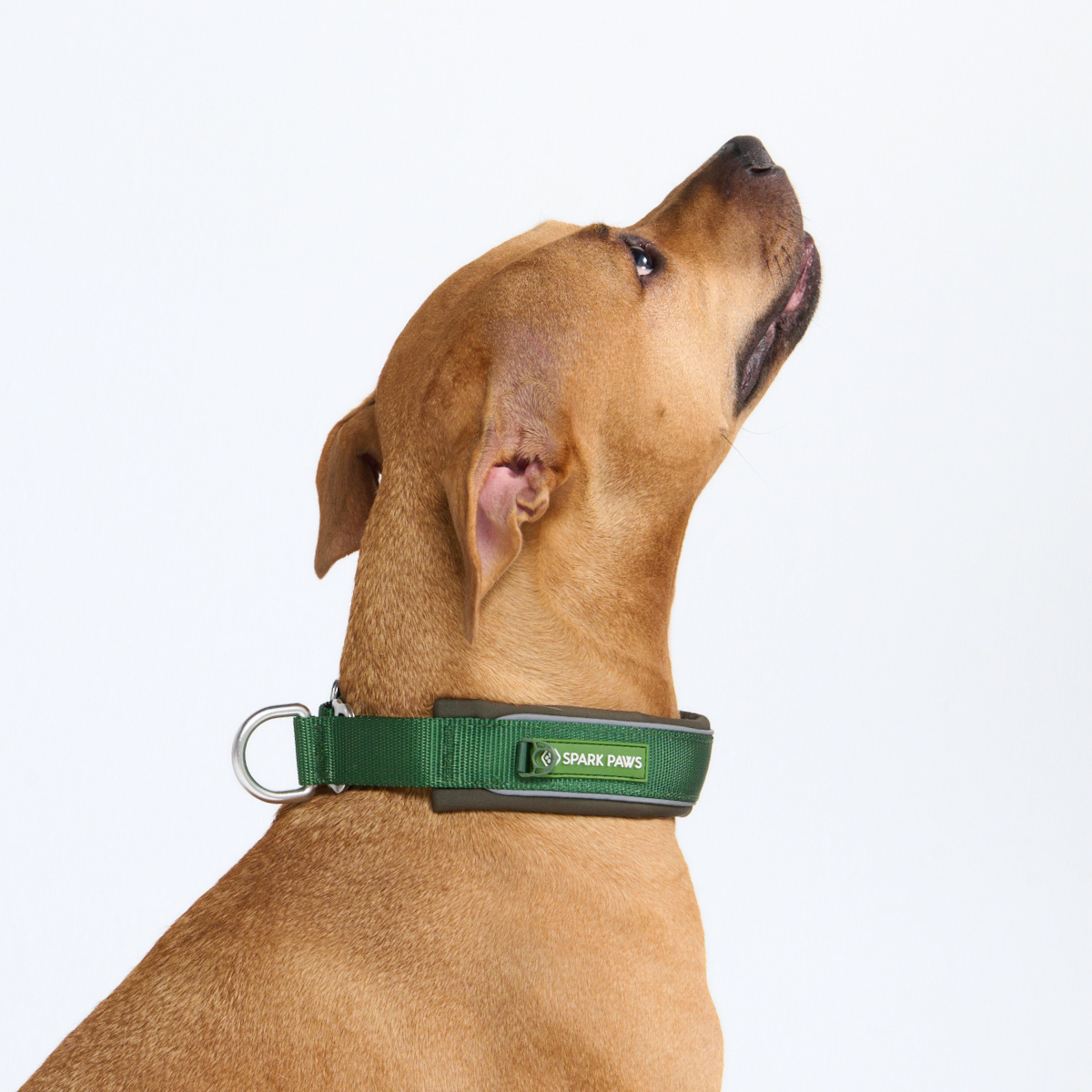 Martingale Collar - Army Green