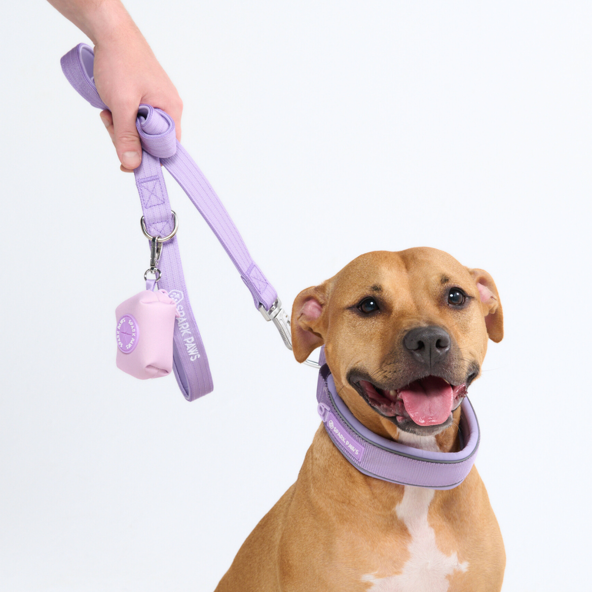 Martingale Dog Collars