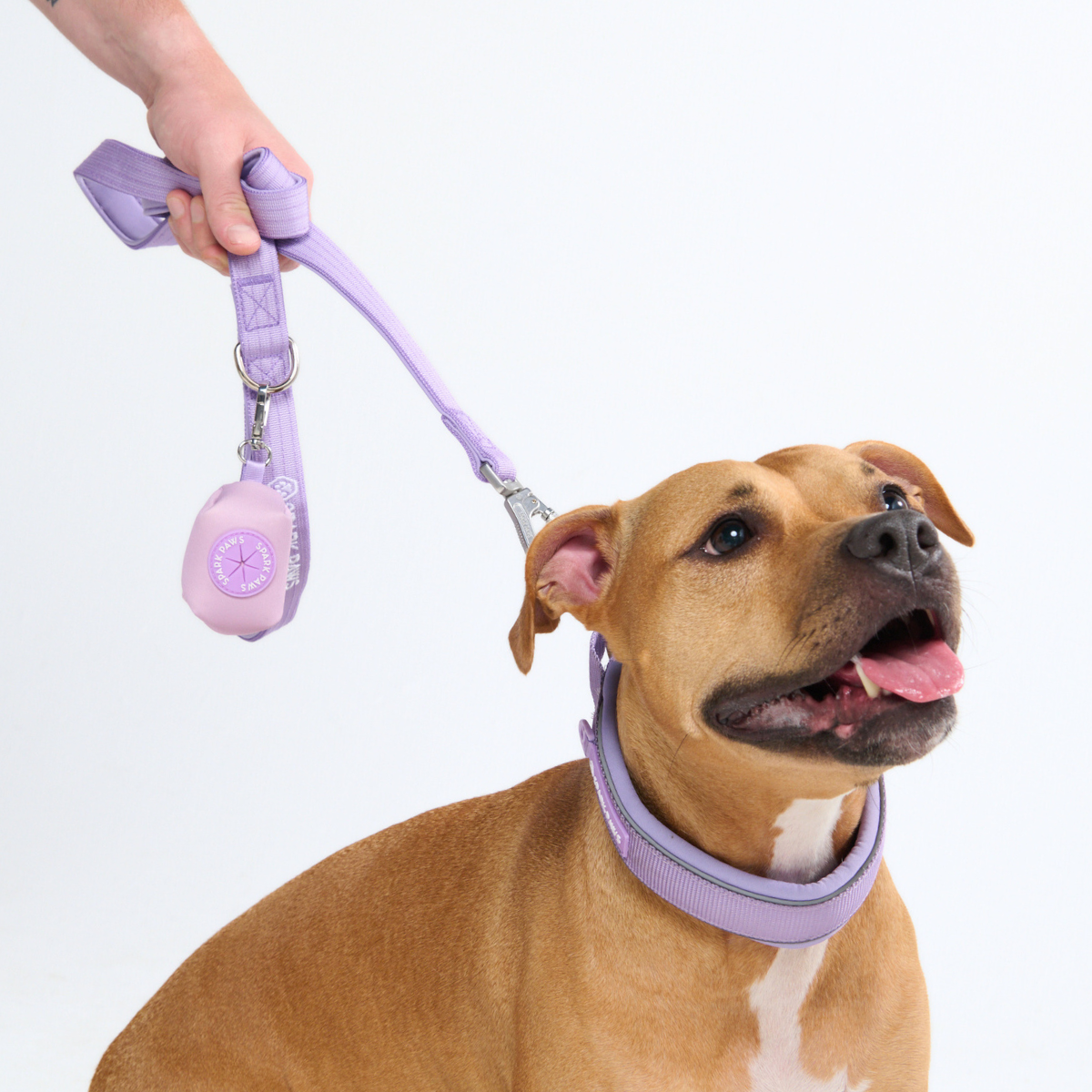 Martingale Dog Collars