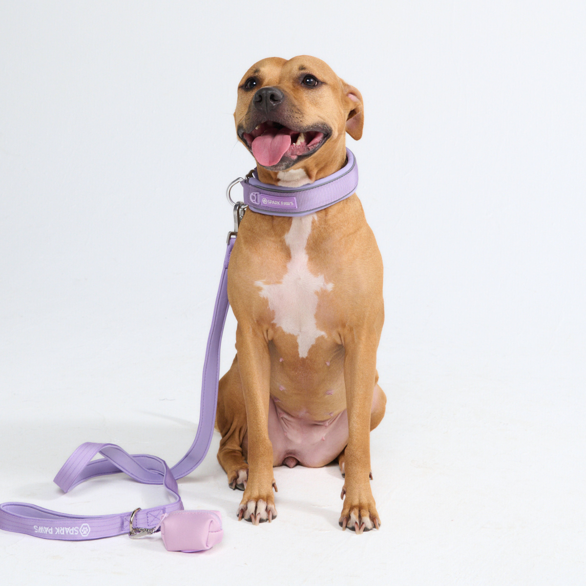 Martingale Collar - Lilac