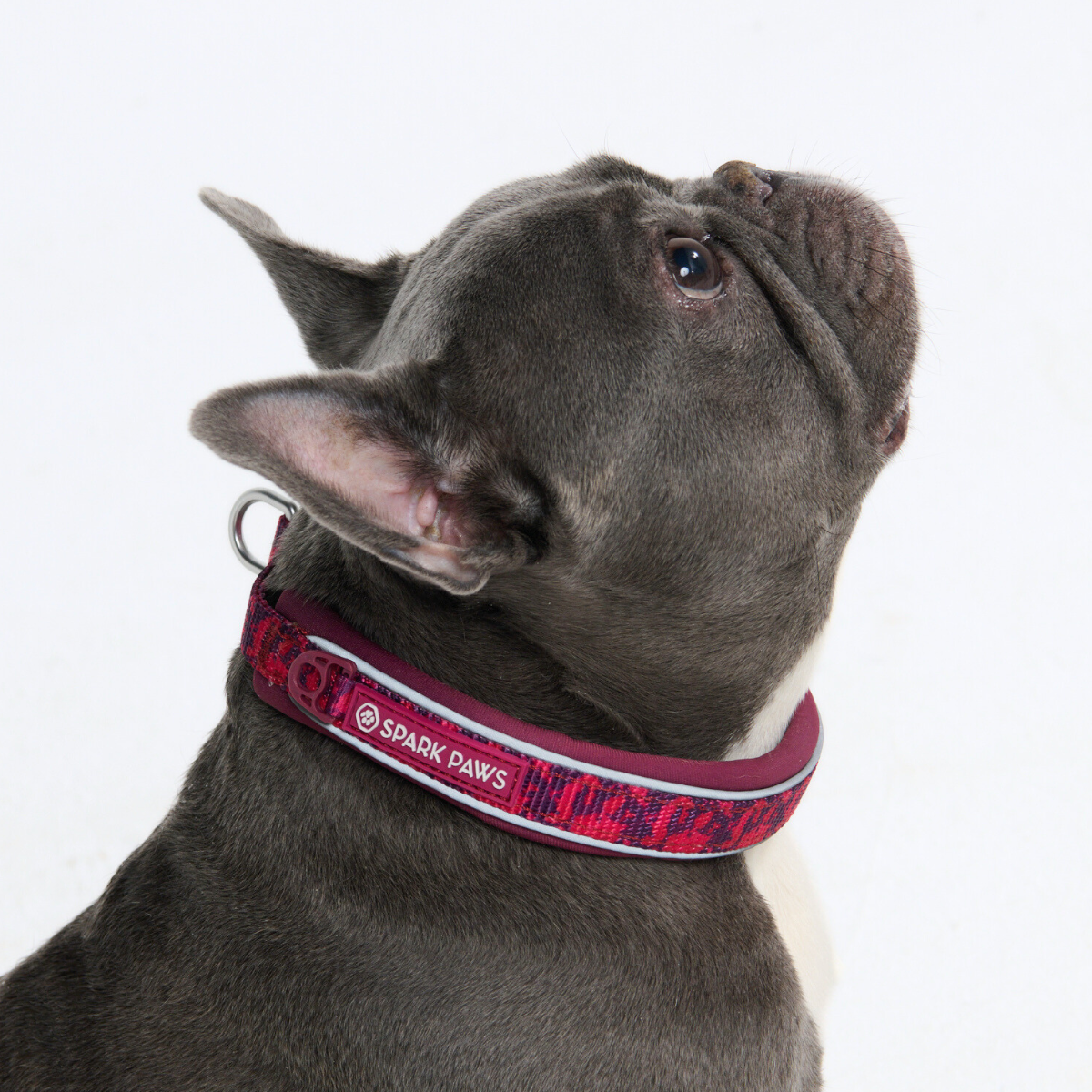 Martingale Dog Collars
