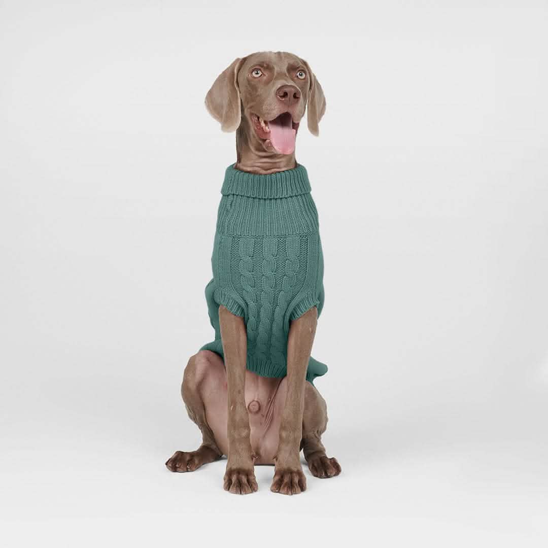 Cable Knit Dog Sweater - Pine Green