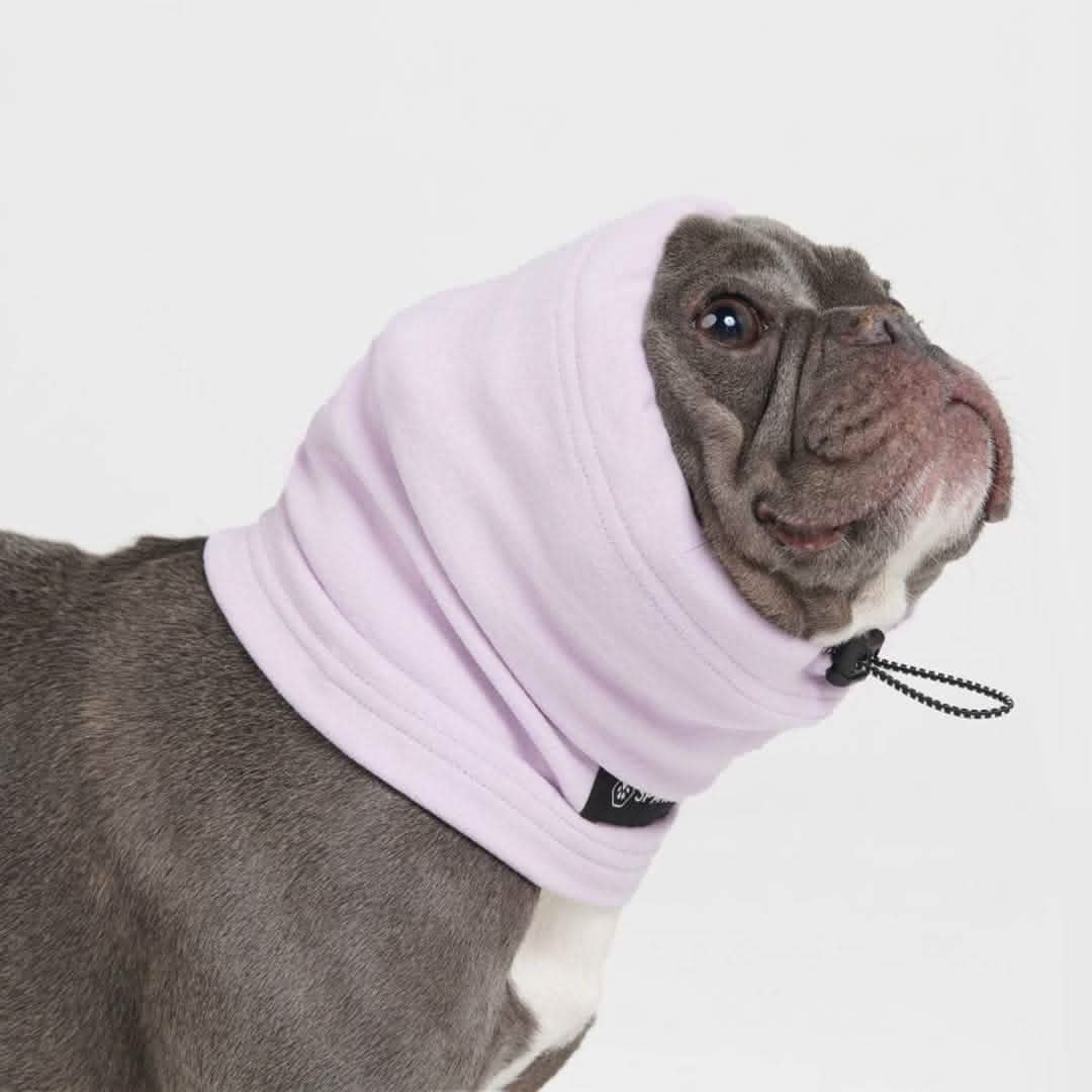 Leg Warmer and Earmuff Protector Set - Purple