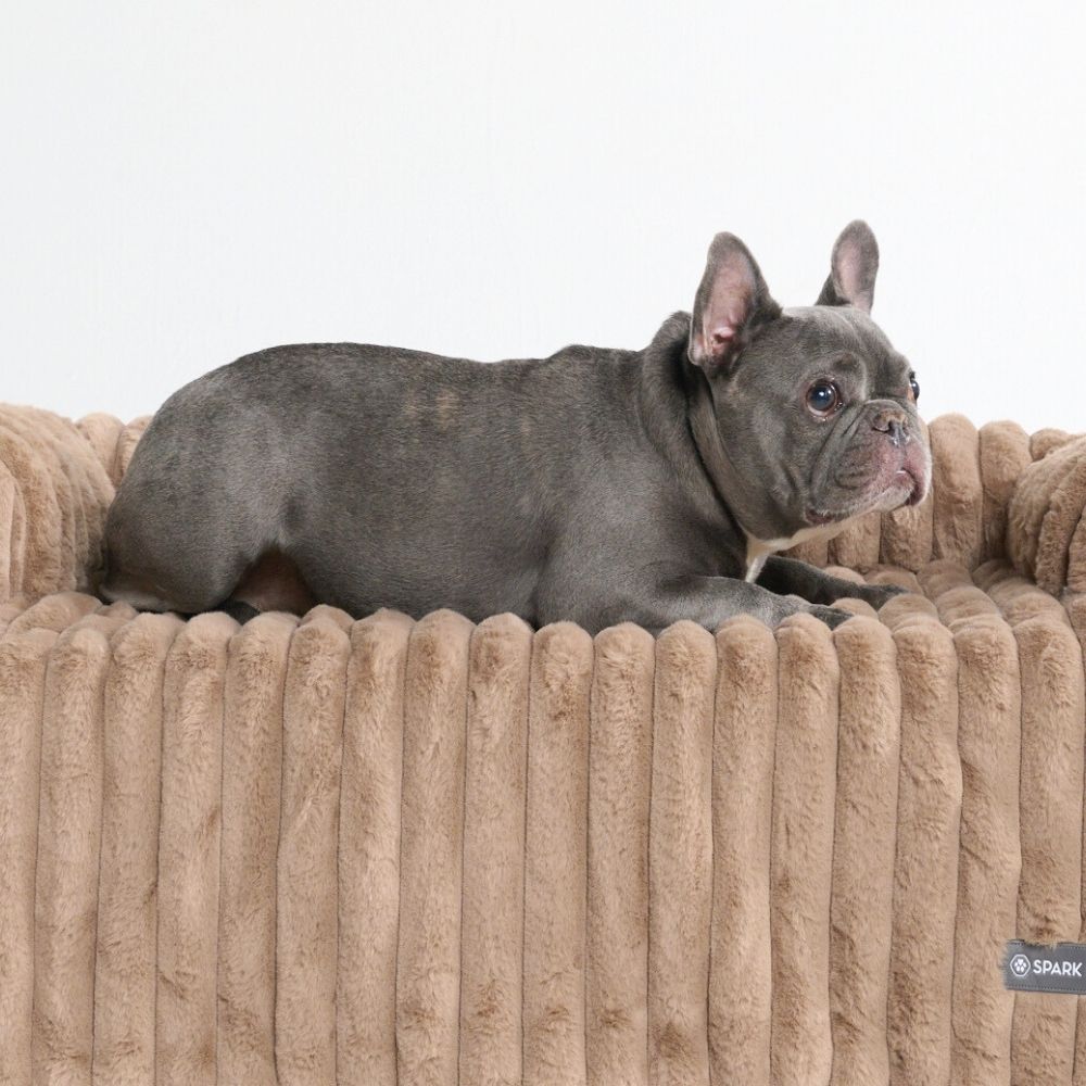 Luxury Couch Cover Dog Beds